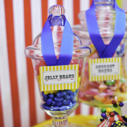 children's party hire Geelong candy jars