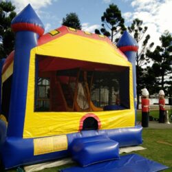 Adult Slide Jumping Castle