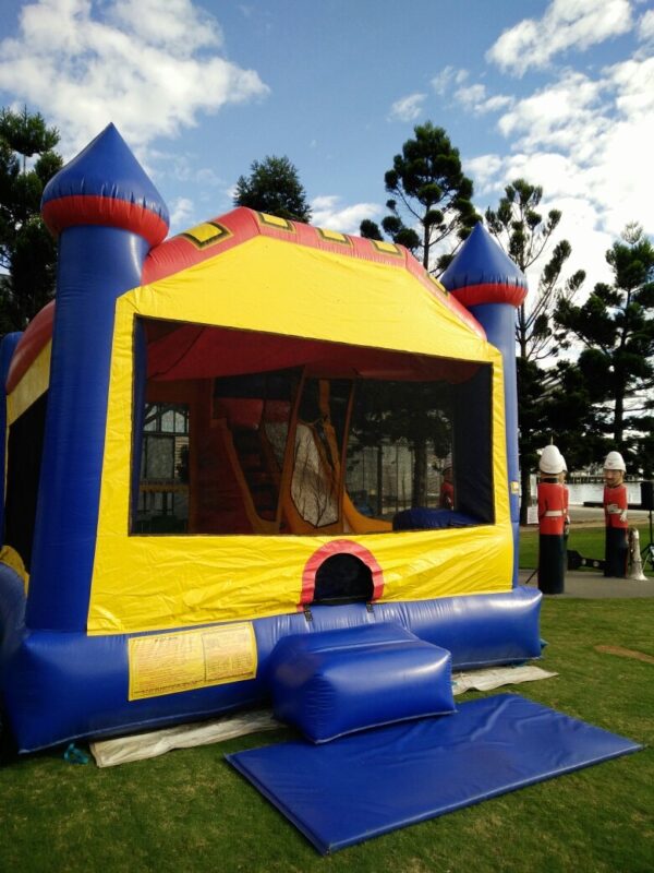 Adult Slide Jumping Castle